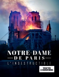 Toute l'Histoire - Notre Dame de Paris, l'indestructible