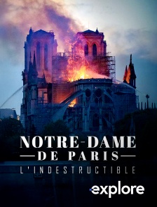 EXPLORE - Notre Dame de Paris, l'indestructible