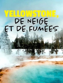 Yellowstone, de neige et de fumées