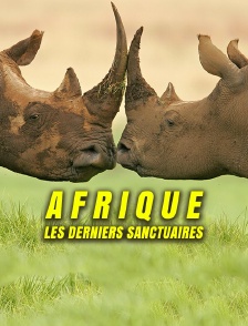 Afrique : les derniers sanctuaires