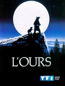 TF1 Séries Films - L'ours