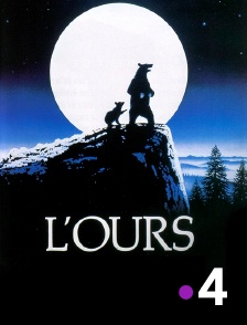 France 4 - L'ours