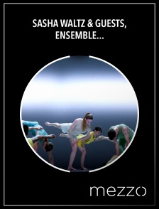 Mezzo - Sasha Waltz & Guests, Ensemble intercontemporain: Terry Riley, In C