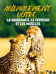 Animalement vôtre : La naissance, le cerveau et les muscles