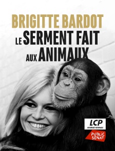 LCP Public Sénat - Brigitte Bardot, le serment fait aux animaux