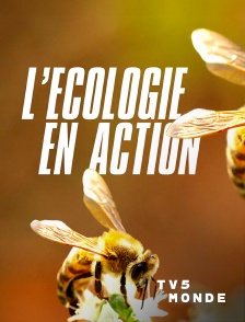 TV5MONDE - L'écologie en action