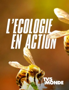 TV5MONDE - L'écologie en action