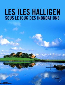 Les îles Halligen, sous le joug des inondations