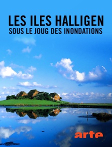 Arte - Les îles Halligen, sous le joug des inondations