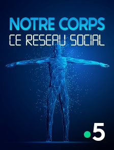 France 5 - Notre corps, ce réseau social