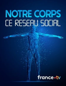 france.tv - Notre corps, ce réseau social