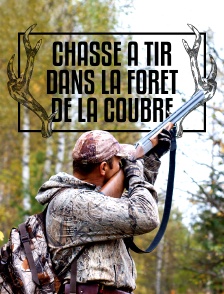 Chasse à tir dans la forêt de la Coubre