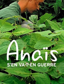 Anaïs s'en va-t-en guerre
