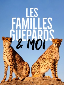 Les familles guépards & Moi