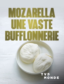 TV5MONDE - Mozzarella, une vaste bufflonnerie ?