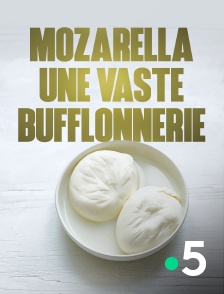 France 5 - Mozzarella, une vaste bufflonnerie ?