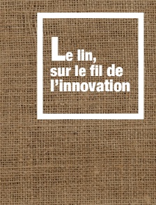 Le lin, sur le fil de l'innovation