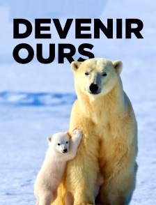 Devenir ours