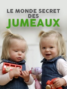Le monde secret des jumeaux