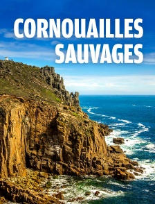 Cornouailles sauvages