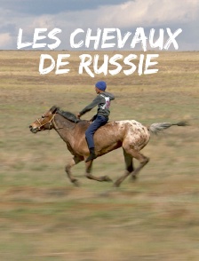 Les chevaux de Russie