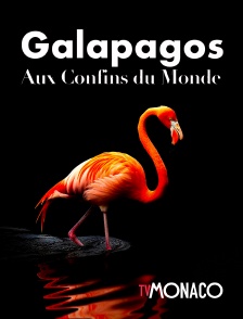 TV Monaco - Galapagos : aux confins du monde