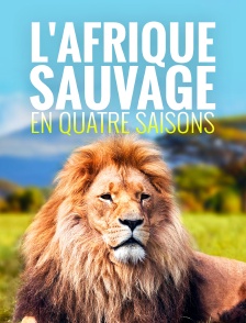L'Afrique sauvage en quatre saisons