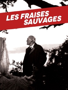 Les fraises sauvages (version restaurée)