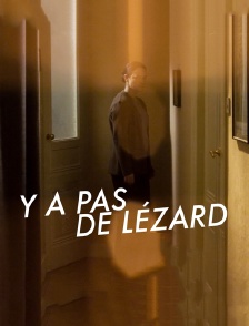Y'a pas de lézard