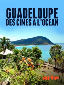 Guadeloupe, des cimes à l'océan