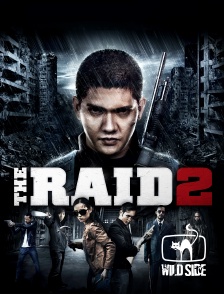 Molotov channels - The Raid 2