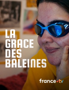 france.tv - La grâce des baleines