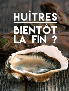 Huîtres, bientôt la fin ?