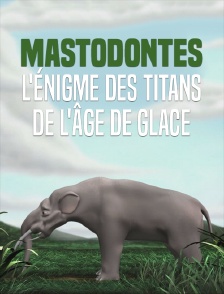 Mastodontes, l'énigme des titans de l'âge de glace