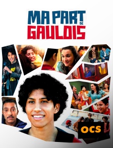 OCS - Ma part de Gaulois