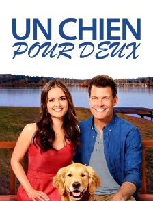 Un chien pour deux