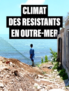 Climat : des résistants en outre-mer