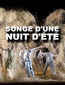 Songe d'une nuit d'été