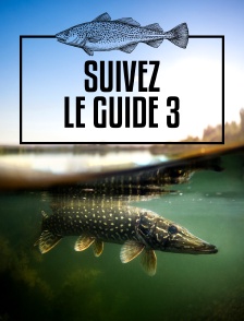 Suivez le guide 3 : sandre & brochet tout savoir avec Gaël Even