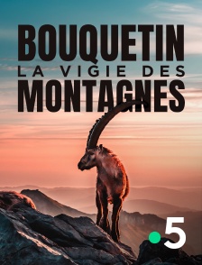 France 5 - Bouquetin, la vigie des montagnes