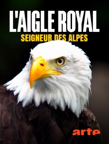 Arte - L'aigle royal, seigneur des Alpes