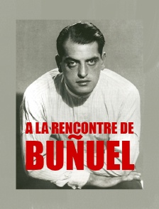 A la rencontre de Buñuel