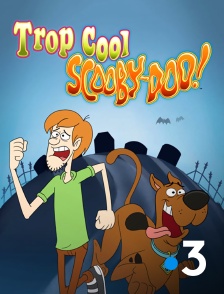 France 3 - Trop cool, Scooby-Doo !