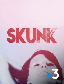 France 3 - Skunk