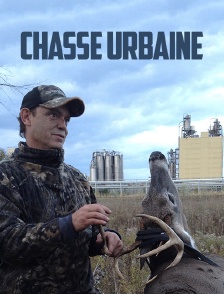 Chasse urbaine