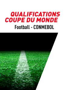 Football - Eliminatoires de la Coupe du monde CONMEBOL :  Brésil / Paraguay ou Argentine / Colombie