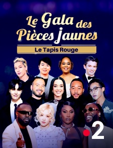 France 2 - Tapis rouge Gala des pièces jaunes