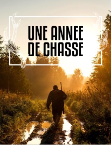 Une année de chasse
