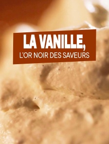 On va déguster : la vanille, l'or noir des saveurs