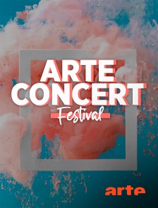 Arte - ARTE Concert Festival : La Gaîté Lyrique, Sébastien Tellier
